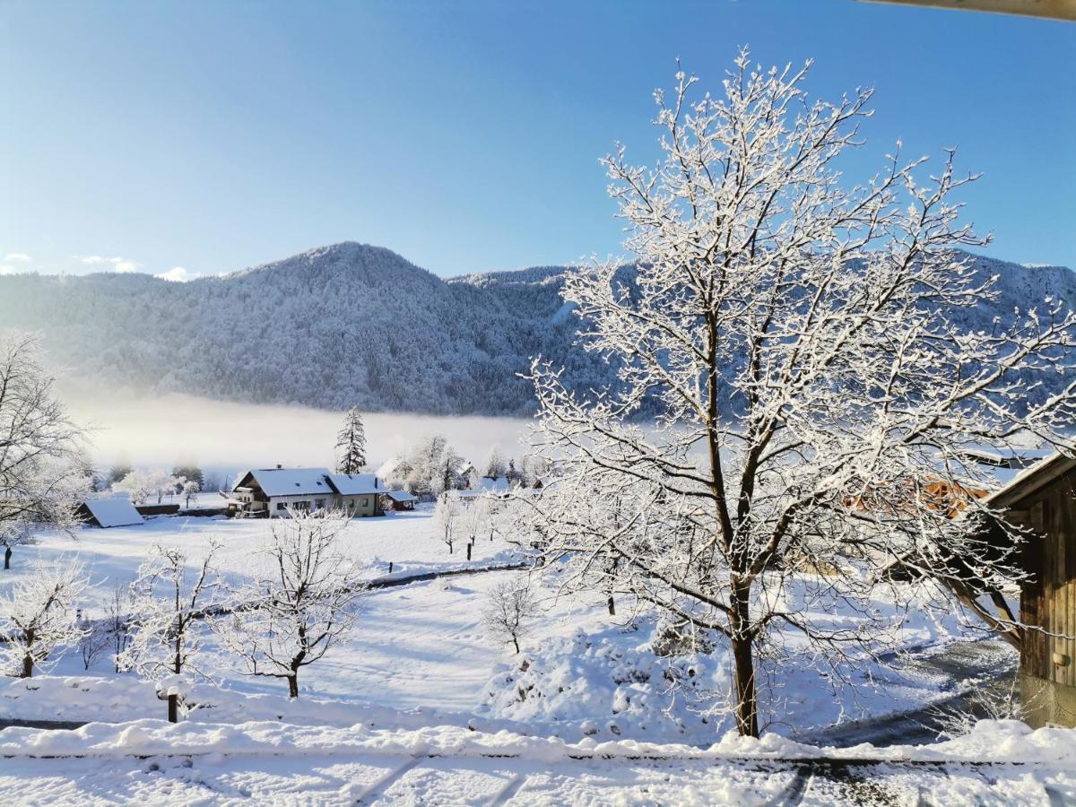 Villa Tourist Farm Mulej Bled Exterior foto